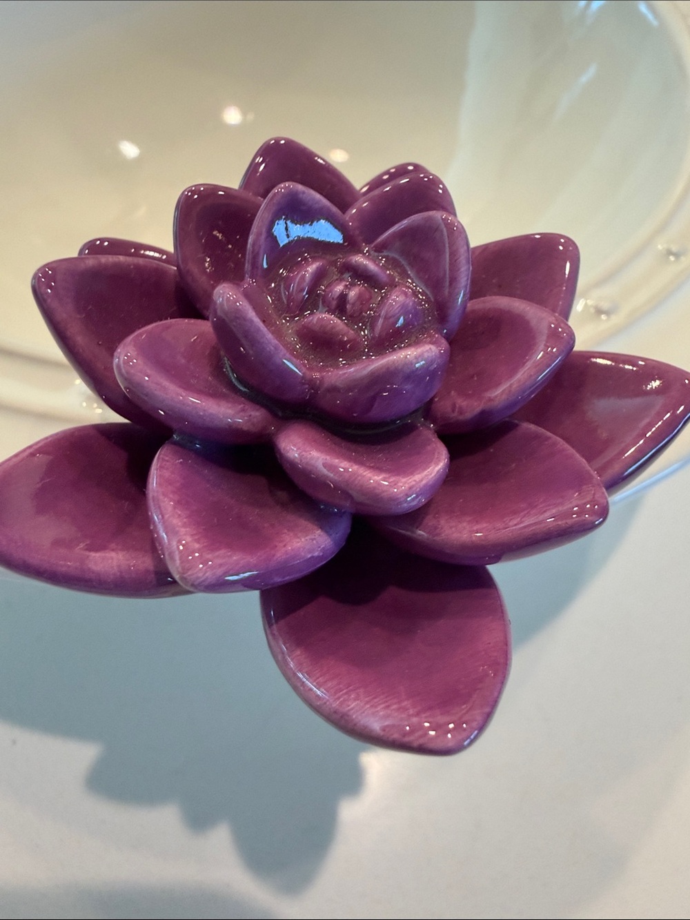 Nora Fleming get growing succulent mini purple